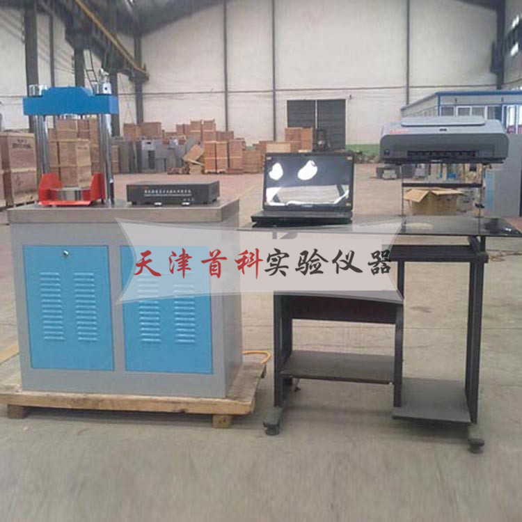 全自動電腦恒應力壓力試驗機DYE-300S