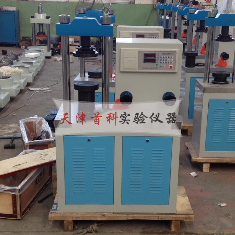 數(shù)字式抗折抗壓試驗機DYE-300