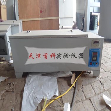 磚瓦爆裂蒸煮箱ZSA-5A